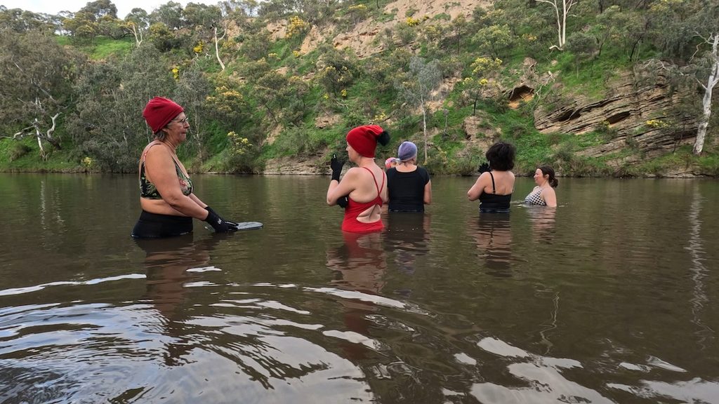 The group acclimatises in the water, before heading off on its daily dip.